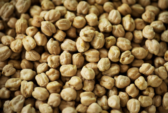 Itt Nutrifor e Faba desenvolvem processo para ampliar uso da proteína de grão-de-bico na indústria de alimentos 